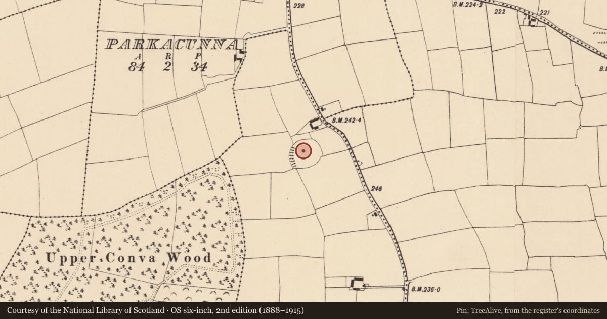 Ordnance Survey six-inch map, 2nd edition (1888–1915) covering the location of Enclosure, Ballyhooly North, County Cork, with a pin at the register's coordinates