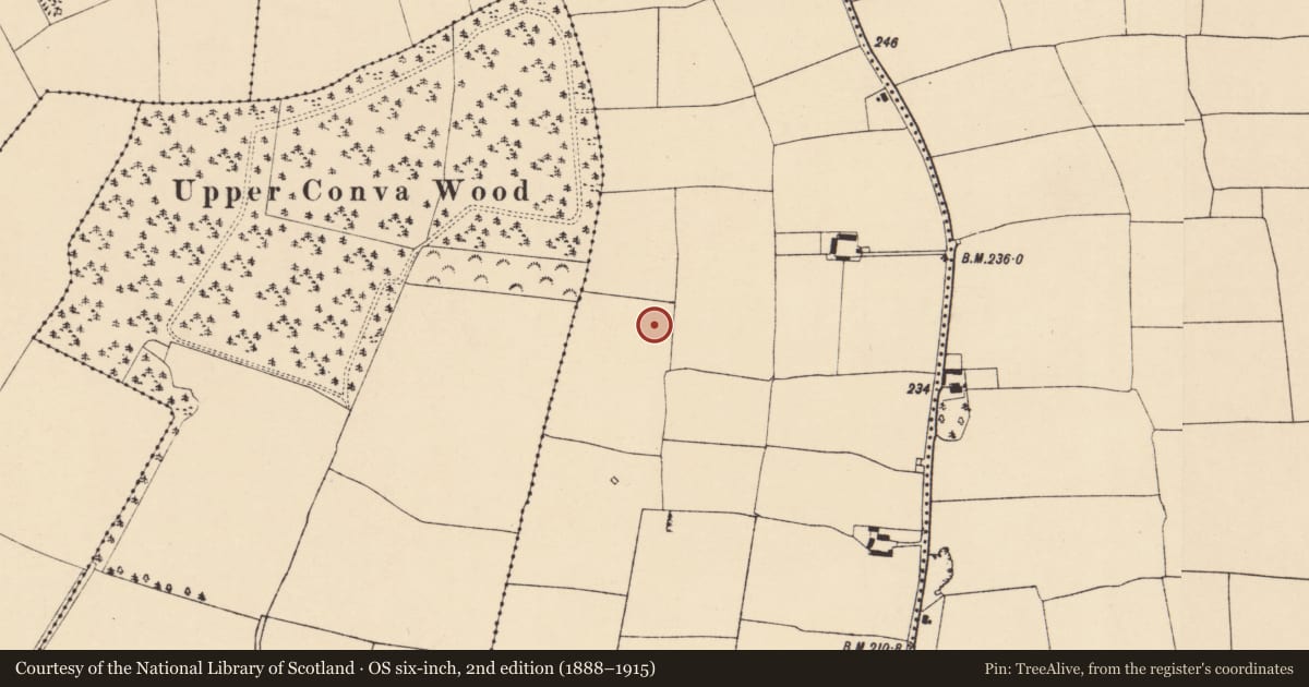 Ordnance Survey six-inch map, 2nd edition (1888–1915) covering the location of Ringfort - rath, Ballyhooly North, County Cork, with a pin at the register's coordinates