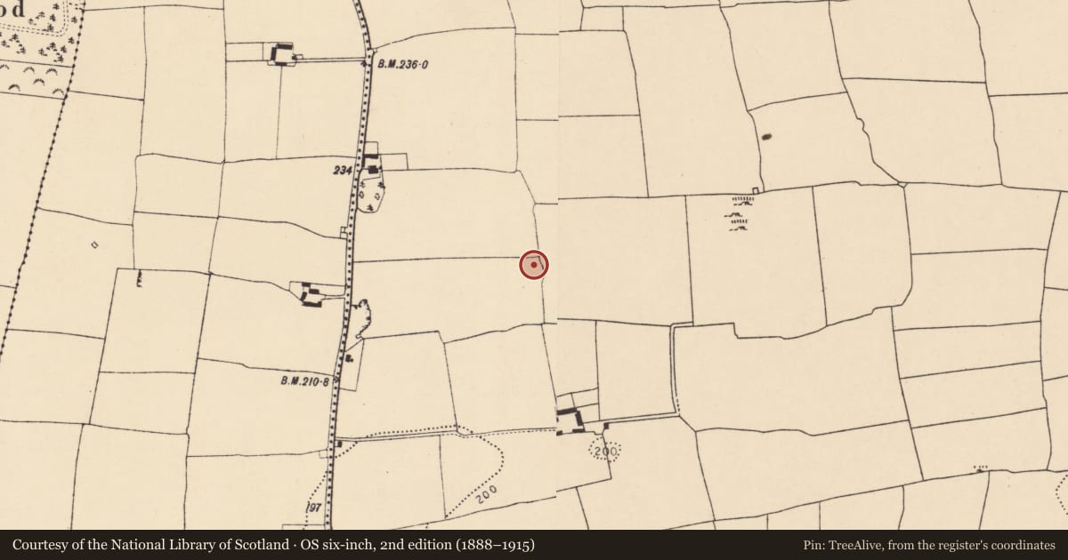 Ordnance Survey six-inch map, 2nd edition (1888–1915) covering the location of Ringfort - rath, Ballyhooly South, County Cork, with a pin at the register's coordinates