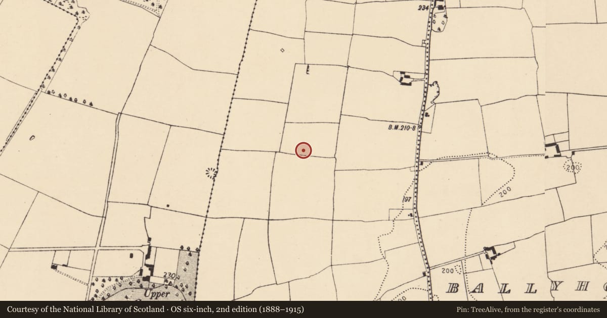 Ordnance Survey six-inch map, 2nd edition (1888–1915) covering the location of Ringfort - rath, Ballyhooly North, County Cork, with a pin at the register's coordinates
