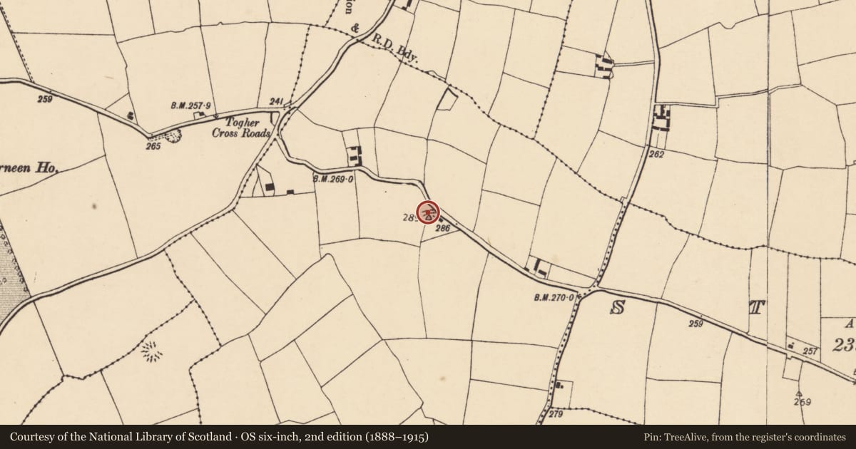 Ordnance Survey six-inch map, 2nd edition (1888–1915) covering the location of Enclosure, Corbally, County Cork, with a pin at the register's coordinates