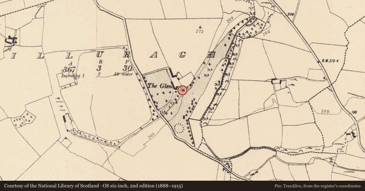Ordnance Survey six-inch map, 2nd edition (1888–1915) covering the location of Ritual site - holy tree/bush, Killuragh, County Cork, with a pin at the register's coordinates