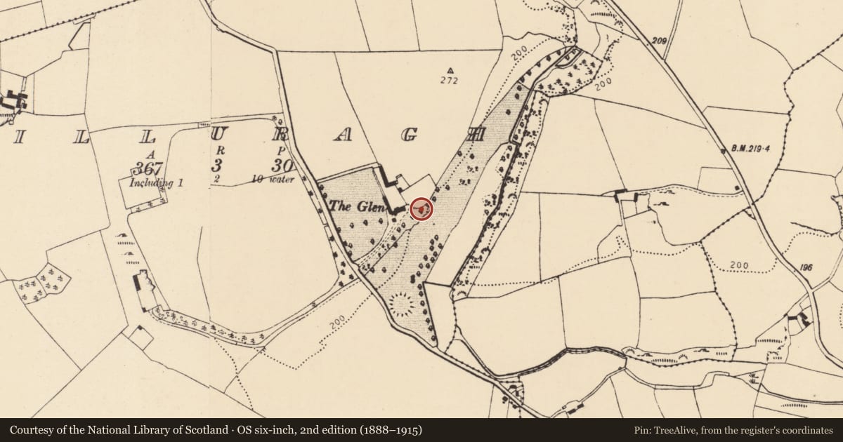 Ordnance Survey six-inch map, 2nd edition (1888–1915) covering the location of Ritual site - holy well, Killuragh, County Cork, with a pin at the register's coordinates