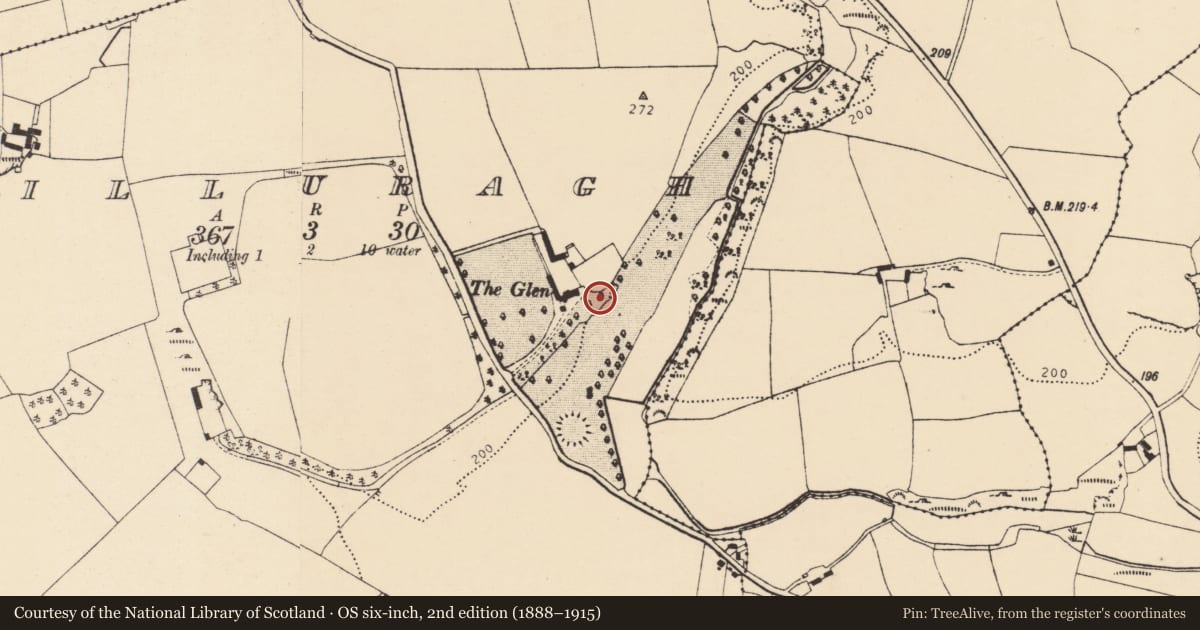Ordnance Survey six-inch map, 2nd edition (1888–1915) covering the location of Church, Killuragh, County Cork, with a pin at the register's coordinates