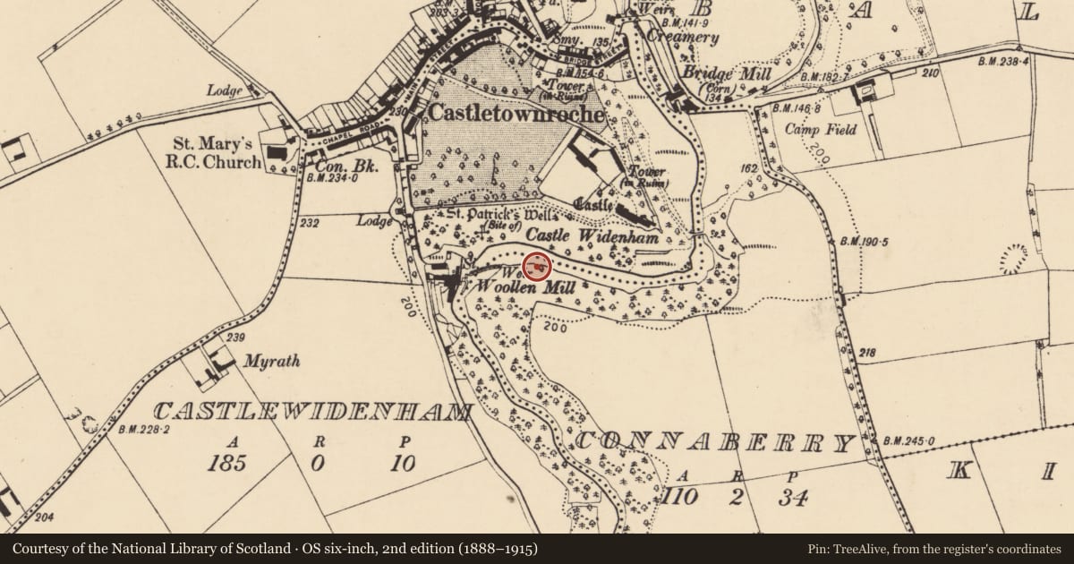 Ordnance Survey six-inch map, 2nd edition (1888–1915) covering the location of Cave, Connaberry, County Cork, with a pin at the register's coordinates