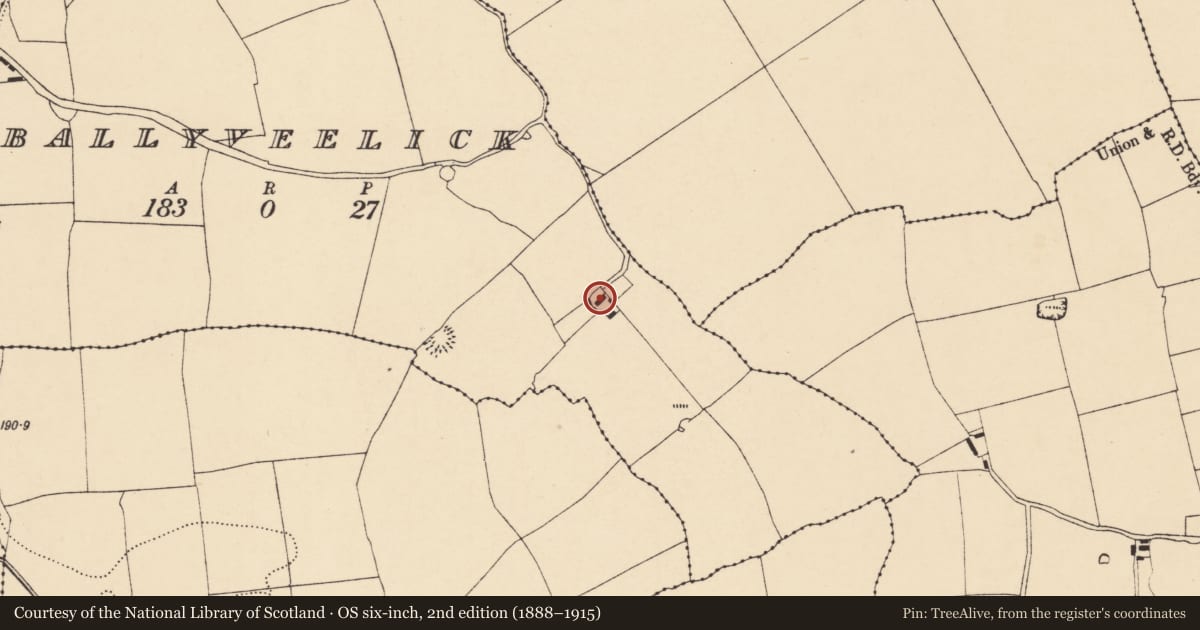Ordnance Survey six-inch map, 2nd edition (1888–1915) covering the location of House - vernacular house, Ballyveelick, County Cork, with a pin at the register's coordinates