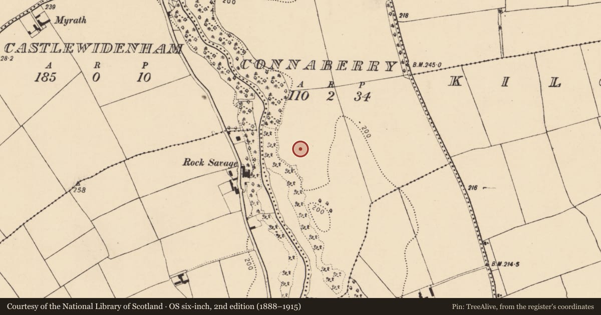 Ordnance Survey six-inch map, 2nd edition (1888–1915) covering the location of Prehistoric site - lithic scatter, Connaberry, County Cork, with a pin at the register's coordinates