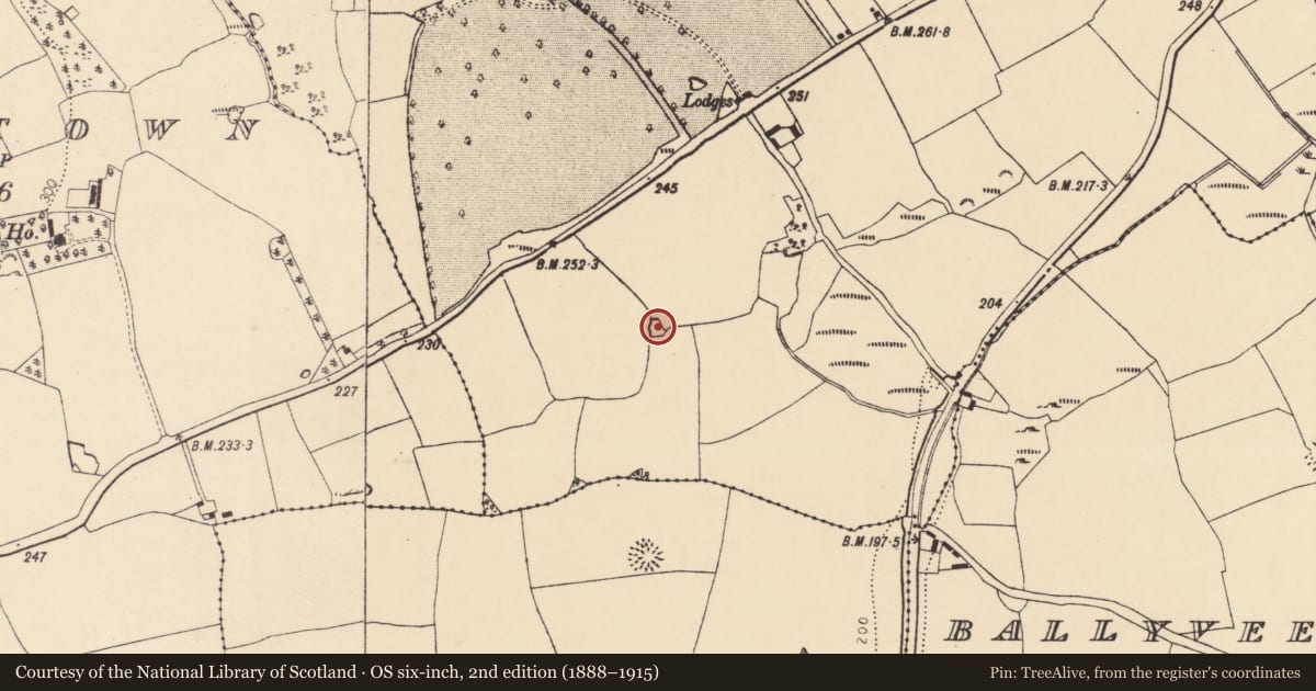 Ordnance Survey six-inch map, 2nd edition (1888–1915) covering the location of Fulacht fia, Ballygown, County Cork, with a pin at the register's coordinates
