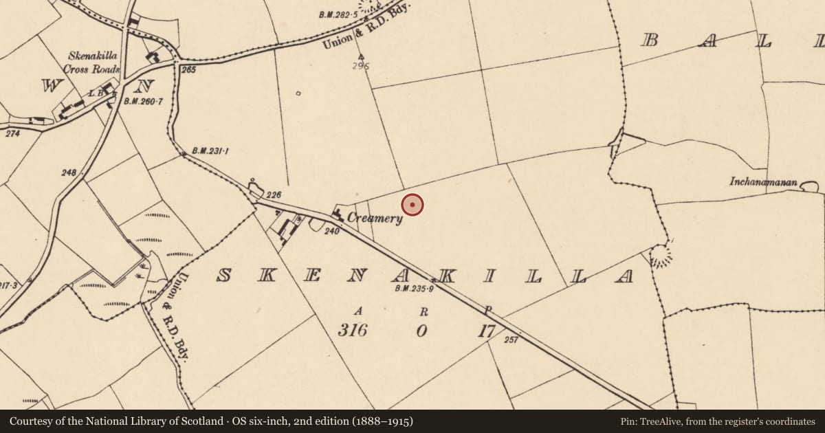 Ordnance Survey six-inch map, 2nd edition (1888–1915) covering the location of Fulacht fia, Skenakilla, County Cork, with a pin at the register's coordinates