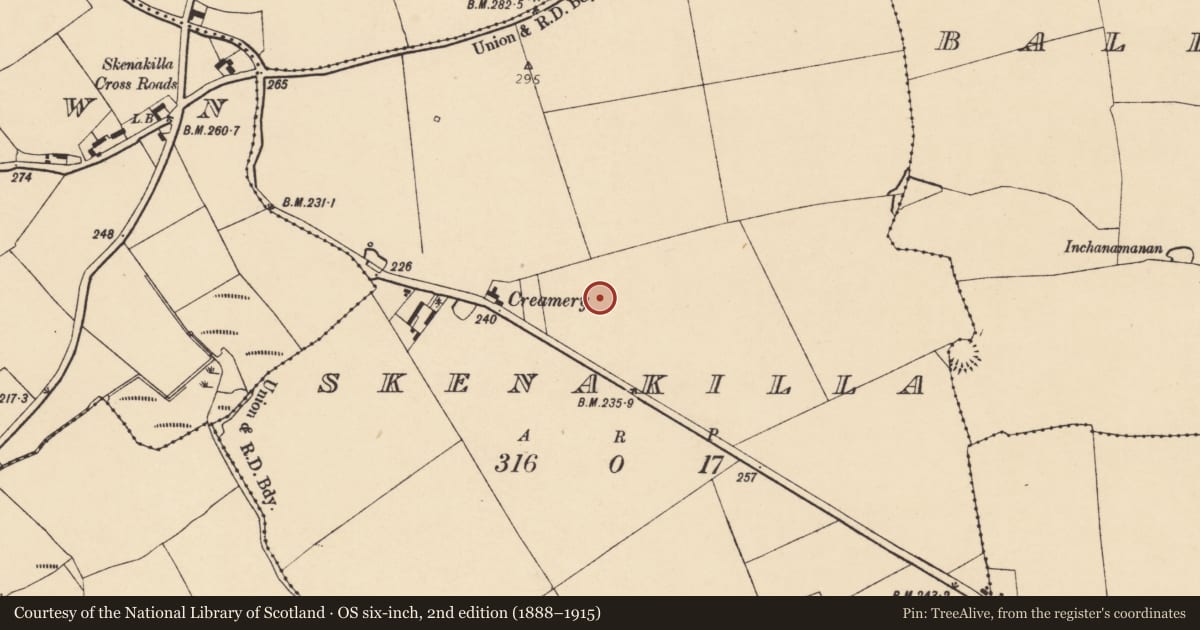 Ordnance Survey six-inch map, 2nd edition (1888–1915) covering the location of Fulacht fia, Skenakilla, County Cork, with a pin at the register's coordinates