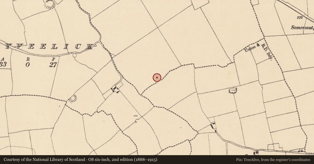Ordnance Survey six-inch map, 2nd edition (1888–1915) covering the location of Fulacht fia, Skenakilla, County Cork, with a pin at the register's coordinates