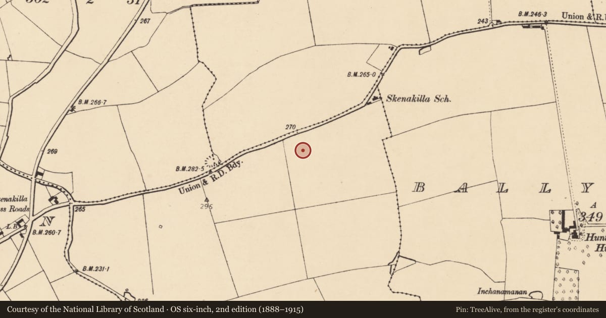 Ordnance Survey six-inch map, 2nd edition (1888–1915) covering the location of Fulacht fia, Skenakilla, County Cork, with a pin at the register's coordinates