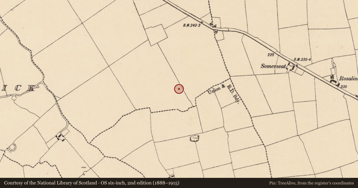 Ordnance Survey six-inch map, 2nd edition (1888–1915) covering the location of Fulacht fia, Skenakilla, County Cork, with a pin at the register's coordinates