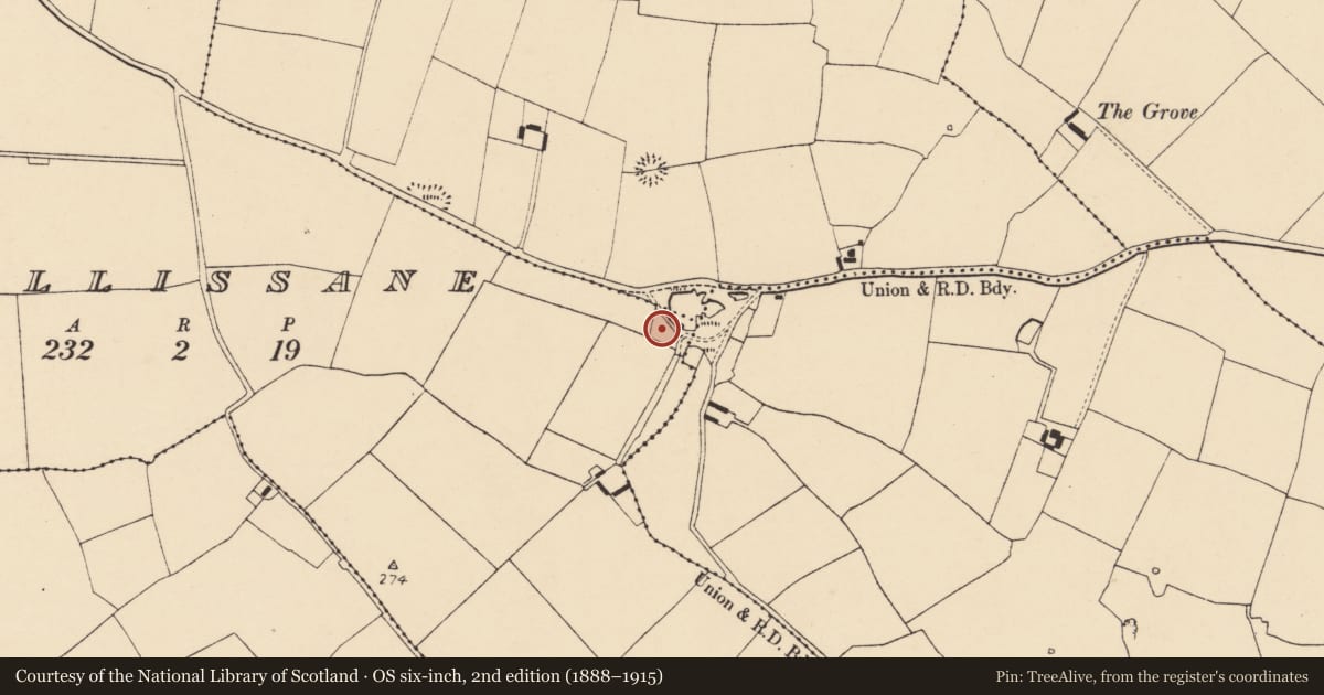 Ordnance Survey six-inch map, 2nd edition (1888–1915) covering the location of Fulacht fia, Killissane, County Cork, with a pin at the register's coordinates