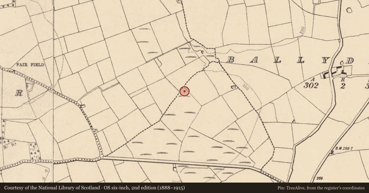 Ordnance Survey six-inch map, 2nd edition (1888–1915) covering the location of Fulacht fia, Ballygown, County Cork, with a pin at the register's coordinates