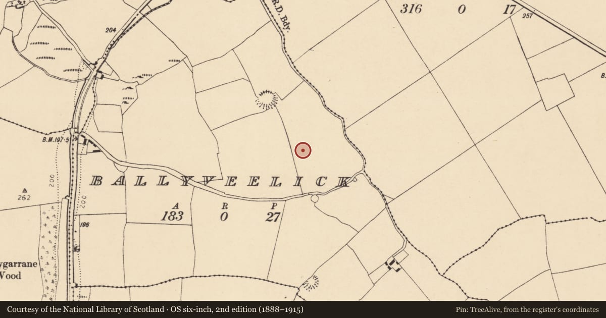 Ordnance Survey six-inch map, 2nd edition (1888–1915) covering the location of Fulacht fia, Ballyveelick, County Cork, with a pin at the register's coordinates