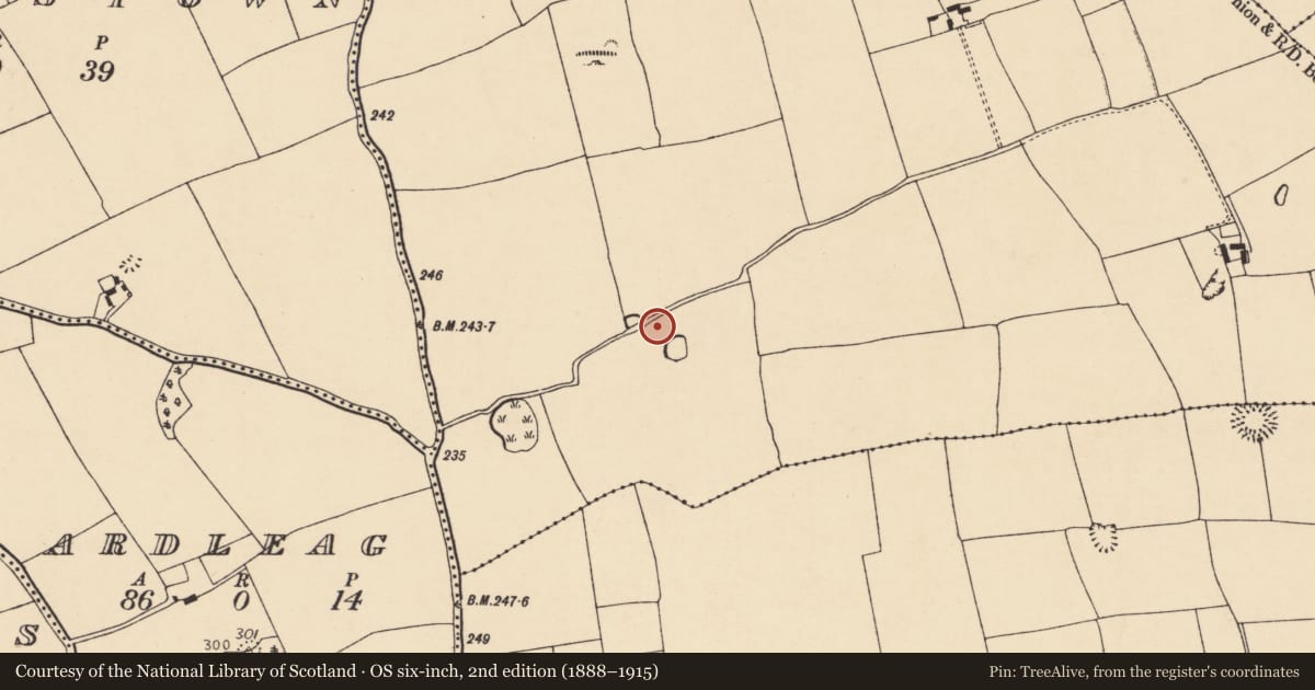 Ordnance Survey six-inch map, 2nd edition (1888–1915) covering the location of Fulacht fia, Carrigleagh (Fermoy By., Wallstown Par.), County Cork, with a pin at the register's coordinates