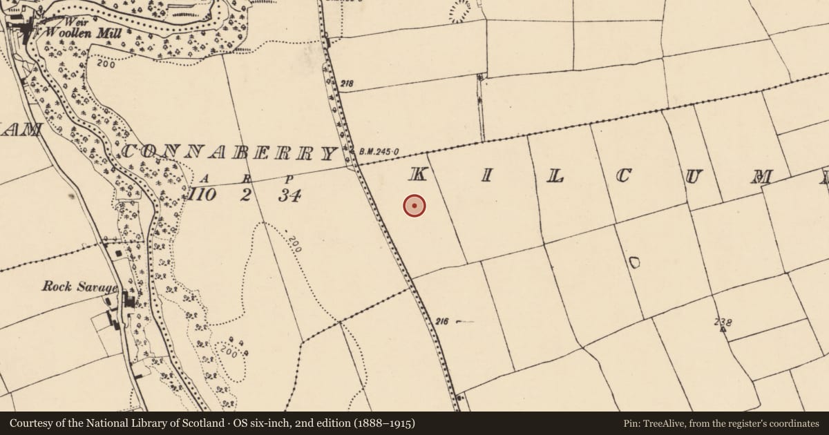 Ordnance Survey six-inch map, 2nd edition (1888–1915) covering the location of Fulacht fia, Kilcummer Upper, County Cork, with a pin at the register's coordinates
