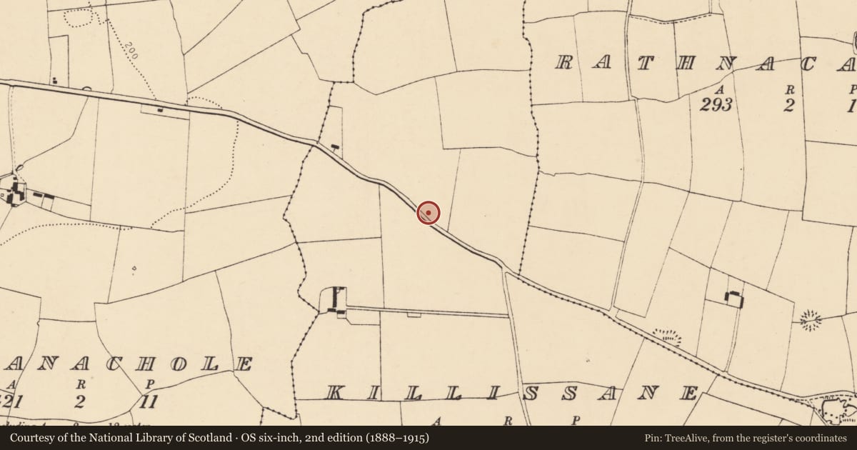 Ordnance Survey six-inch map, 2nd edition (1888–1915) covering the location of Burial ground, Killissane, County Cork, with a pin at the register's coordinates