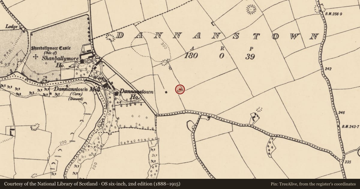 Ordnance Survey six-inch map, 2nd edition (1888–1915) covering the location of Country house, Dannanstown, County Cork, with a pin at the register's coordinates