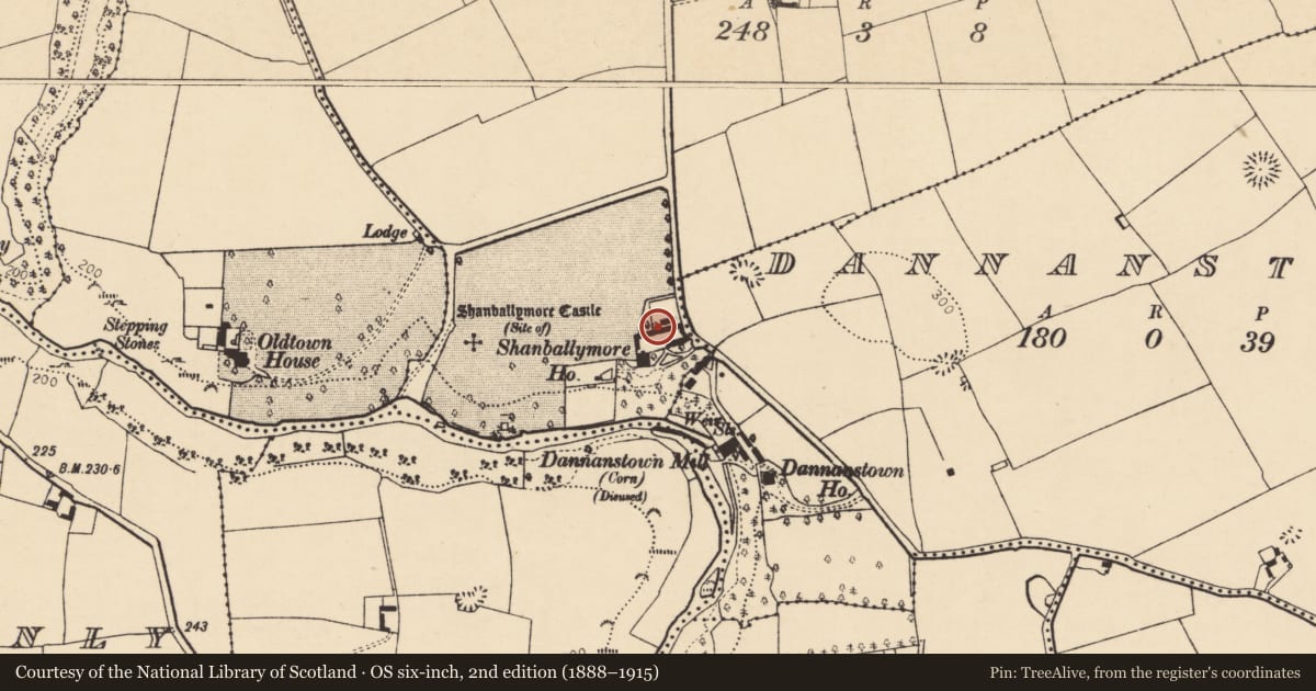 Ordnance Survey six-inch map, 2nd edition (1888–1915) covering the location of Country house, Shanballymore Lower, County Cork, with a pin at the register's coordinates