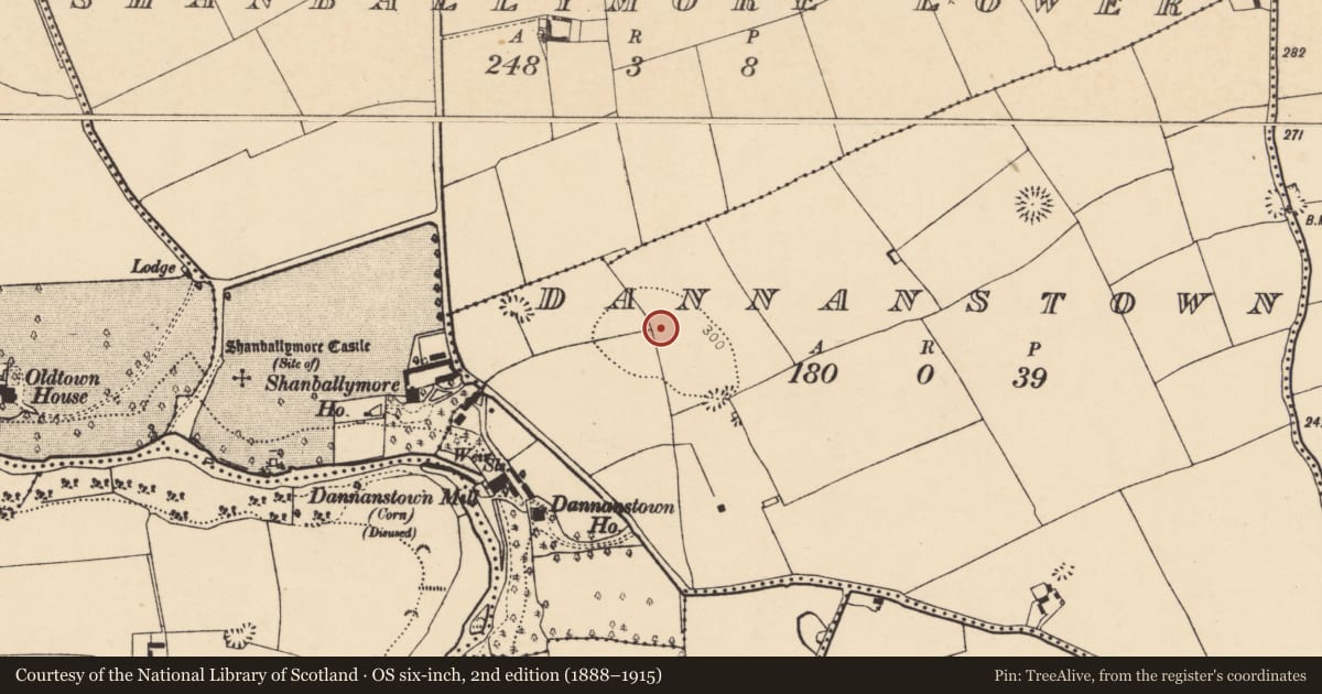 Ordnance Survey six-inch map, 2nd edition (1888–1915) covering the location of Fulacht fia, Dannanstown, County Cork, with a pin at the register's coordinates