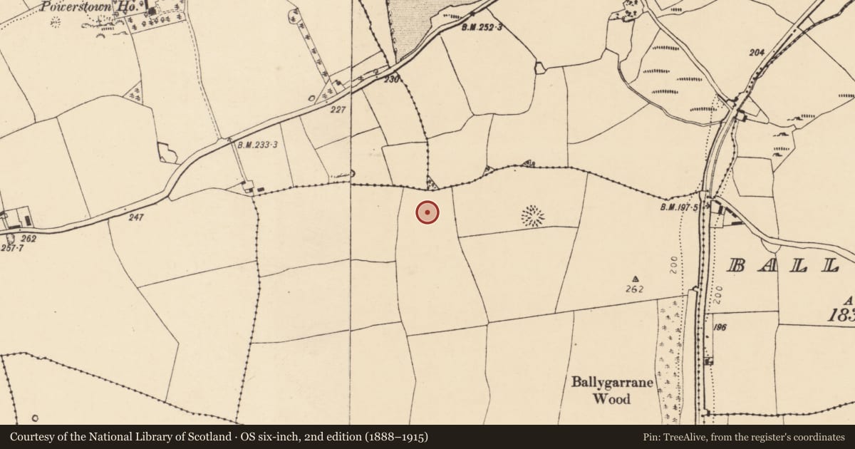 Ordnance Survey six-inch map, 2nd edition (1888–1915) covering the location of Ringfort - rath, Ballygarrane, County Cork, with a pin at the register's coordinates