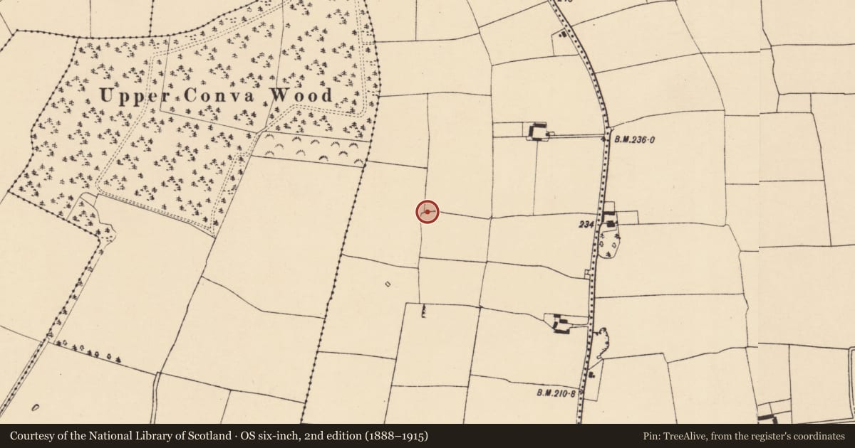 Ordnance Survey six-inch map, 2nd edition (1888–1915) covering the location of Enclosure, Ballyhooly North, County Cork, with a pin at the register's coordinates