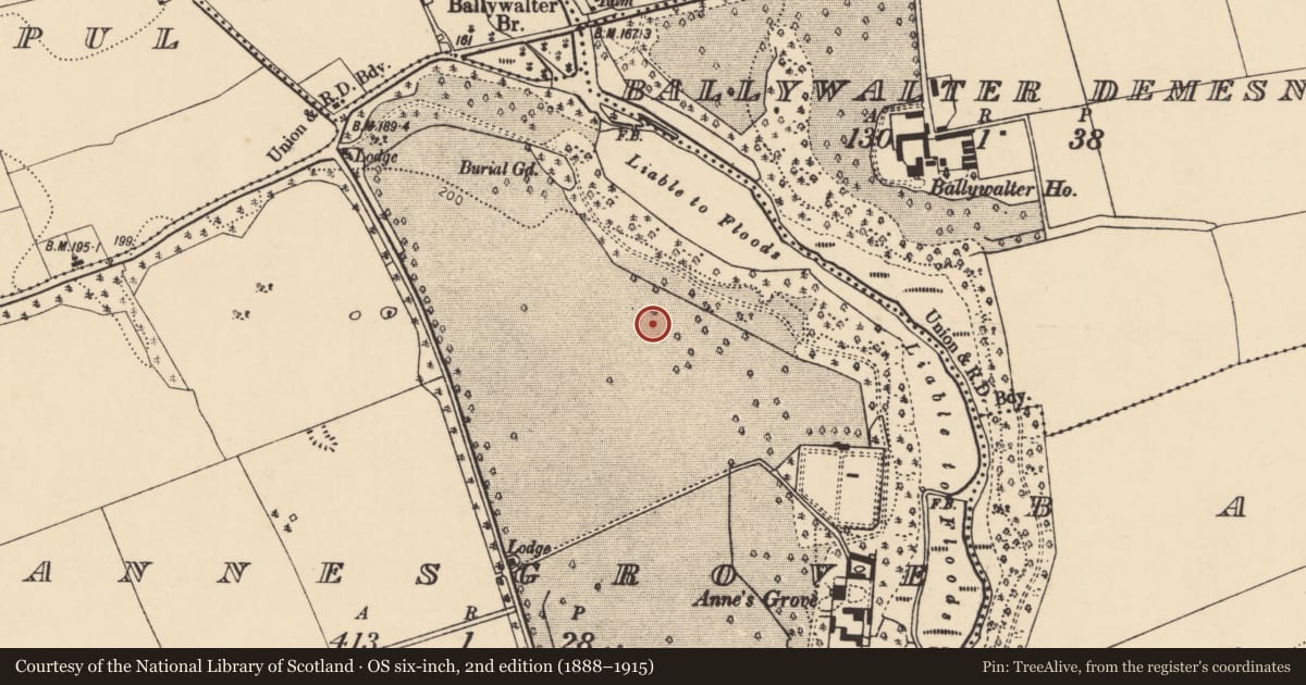 Ordnance Survey six-inch map, 2nd edition (1888–1915) covering the location of Barrow - mound barrow, Annesgrove, County Cork, with a pin at the register's coordinates