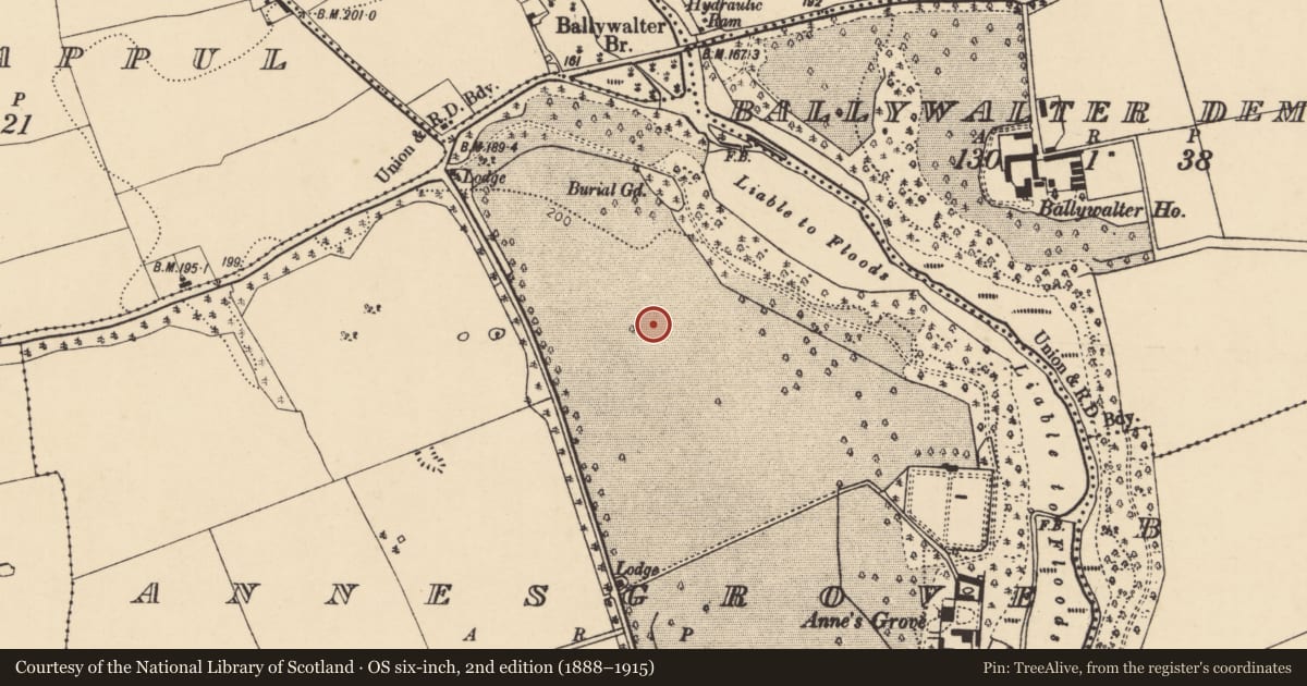 Ordnance Survey six-inch map, 2nd edition (1888–1915) covering the location of Barrow - mound barrow, Annesgrove, County Cork, with a pin at the register's coordinates