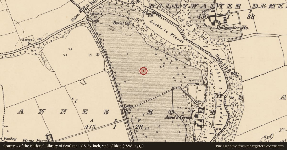 Ordnance Survey six-inch map, 2nd edition (1888–1915) covering the location of Barrow - mound barrow, Annesgrove, County Cork, with a pin at the register's coordinates