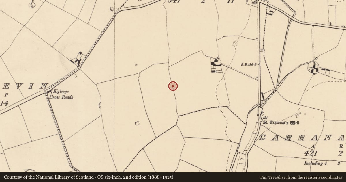Ordnance Survey six-inch map, 2nd edition (1888–1915) covering the location of Ringfort - rath, Ballygarrane, County Cork, with a pin at the register's coordinates