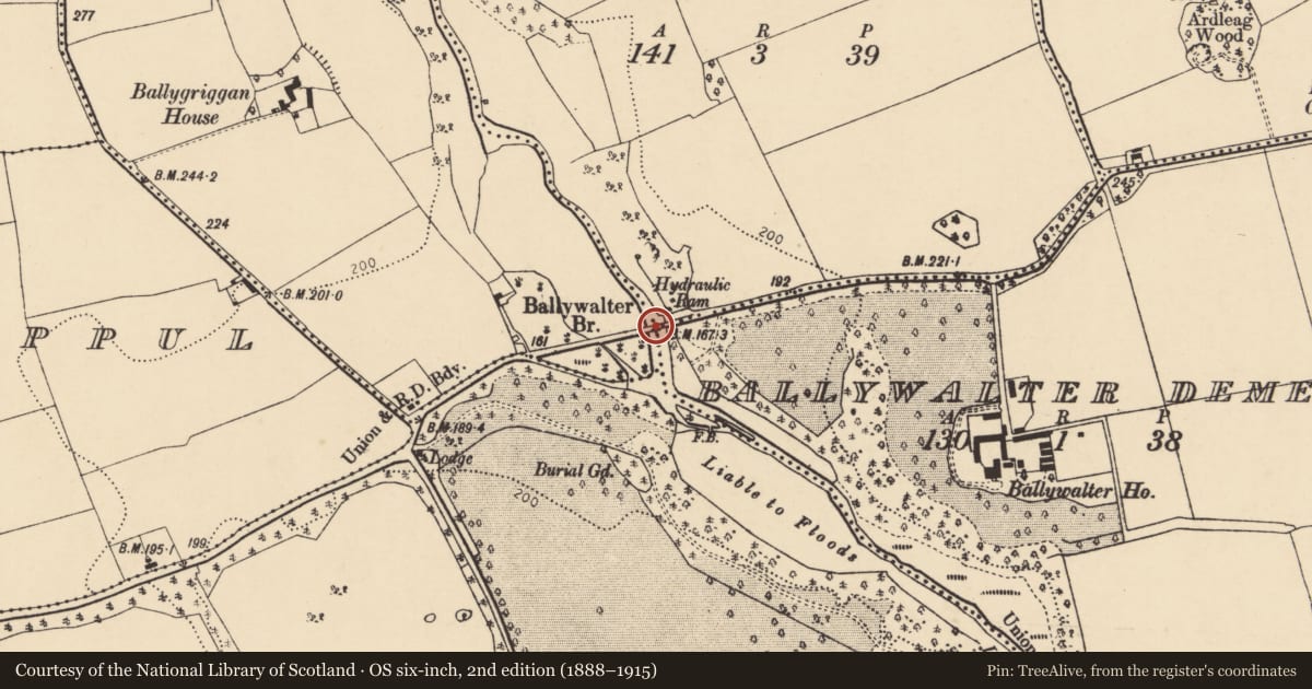 Ordnance Survey six-inch map, 2nd edition (1888–1915) covering the location of Bridge, County Cork, with a pin at the register's coordinates