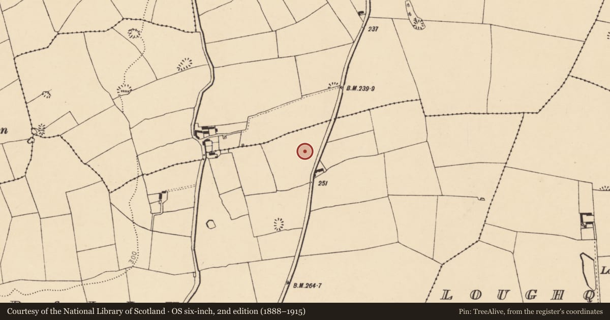 Ordnance Survey six-inch map, 2nd edition (1888–1915) covering the location of Ringfort - rath, Ballydaheen, County Cork, with a pin at the register's coordinates