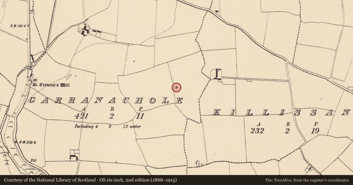 Ordnance Survey six-inch map, 2nd edition (1888–1915) covering the location of Ringfort - rath, Garranachole, County Cork, with a pin at the register's coordinates