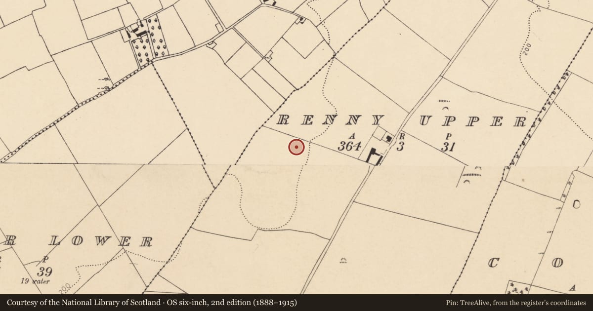 Ordnance Survey six-inch map, 2nd edition (1888–1915) covering the location of Earthwork, Renny Upper, County Cork, with a pin at the register's coordinates