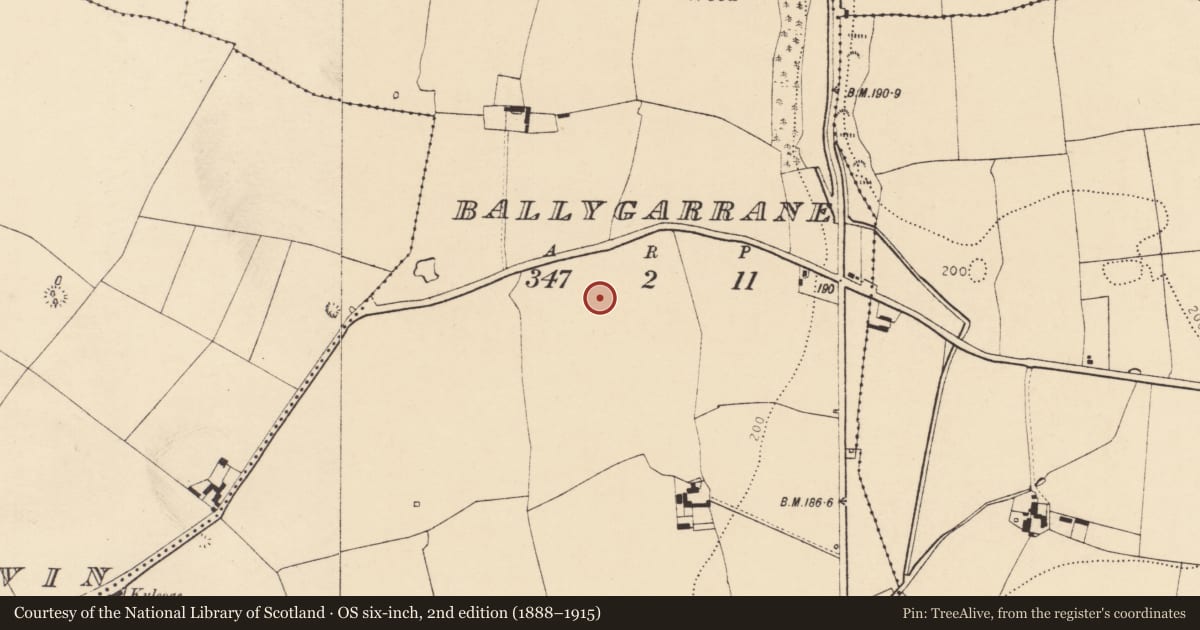 Ordnance Survey six-inch map, 2nd edition (1888–1915) covering the location of Enclosure, Ballygarrane, County Cork, with a pin at the register's coordinates