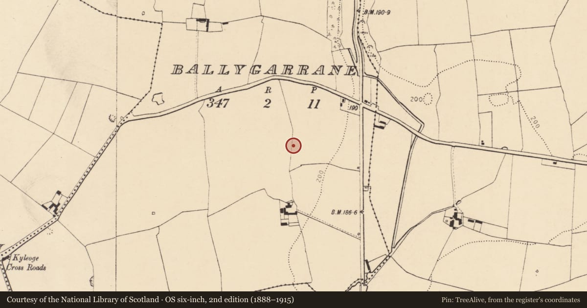 Ordnance Survey six-inch map, 2nd edition (1888–1915) covering the location of Enclosure, Ballygarrane, County Cork, with a pin at the register's coordinates