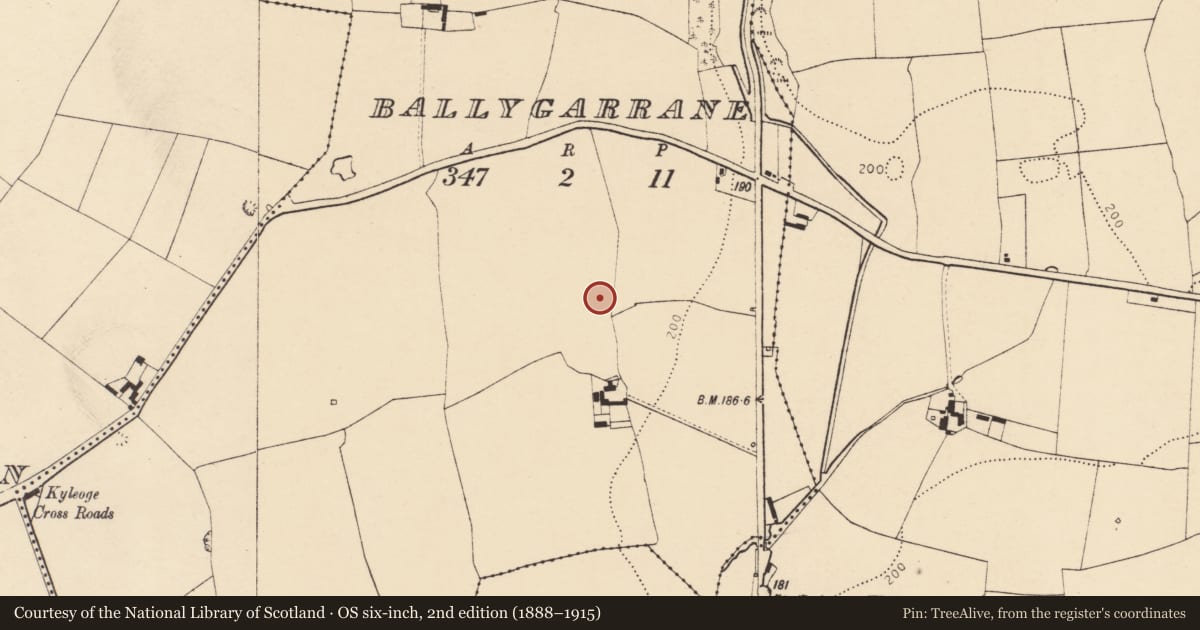 Ordnance Survey six-inch map, 2nd edition (1888–1915) covering the location of Enclosure, Ballygarrane, County Cork, with a pin at the register's coordinates