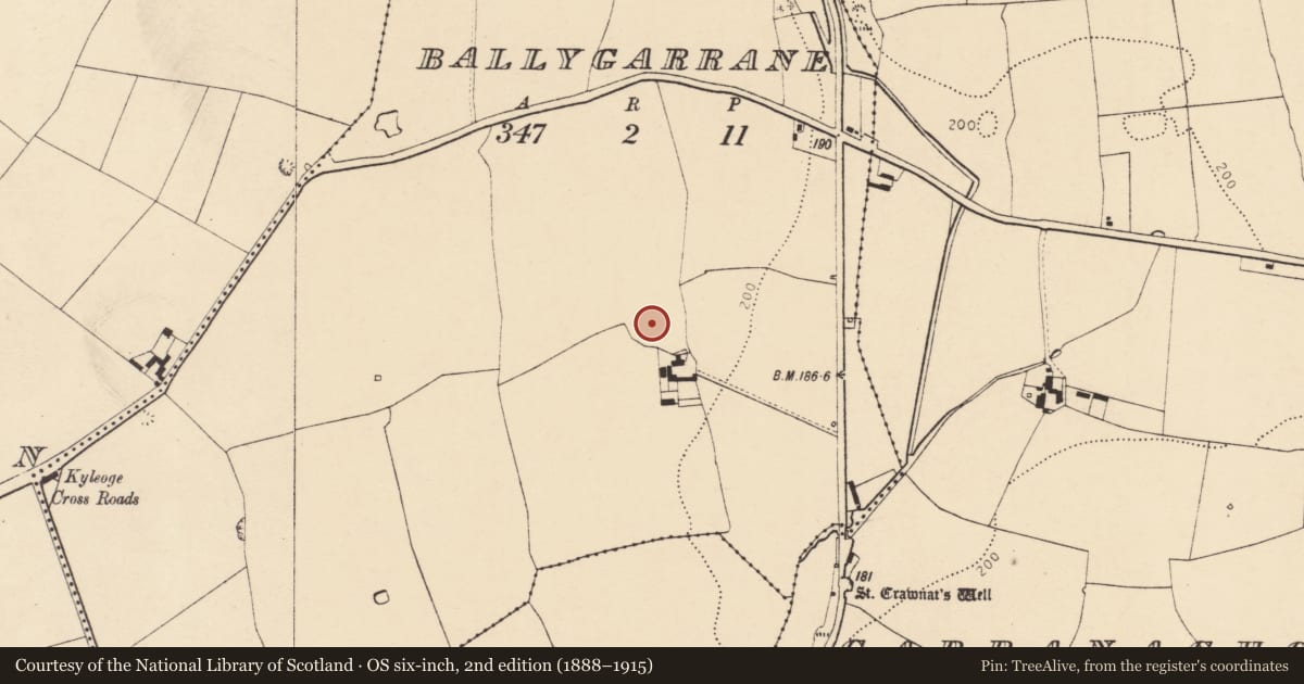 Ordnance Survey six-inch map, 2nd edition (1888–1915) covering the location of Enclosure, Ballygarrane, County Cork, with a pin at the register's coordinates