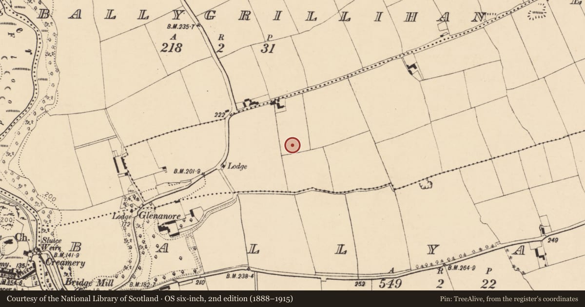 Ordnance Survey six-inch map, 2nd edition (1888–1915) covering the location of Enclosure, Lougharuane, County Cork, with a pin at the register's coordinates