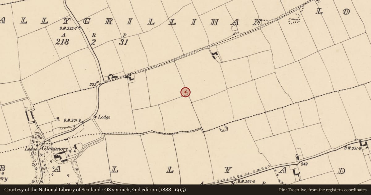 Ordnance Survey six-inch map, 2nd edition (1888–1915) covering the location of Ring-ditch, Lougharuane, County Cork, with a pin at the register's coordinates