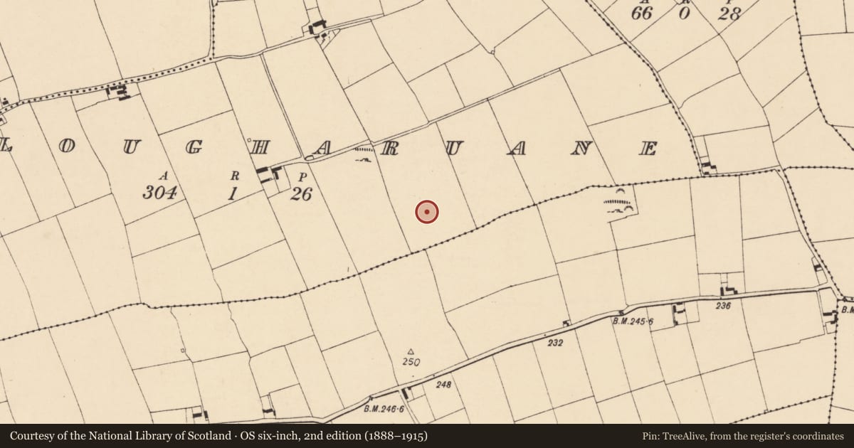Ordnance Survey six-inch map, 2nd edition (1888–1915) covering the location of Enclosure, Lougharuane, County Cork, with a pin at the register's coordinates