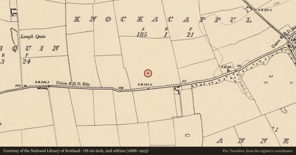 Ordnance Survey six-inch map, 2nd edition (1888–1915) covering the location of Ring-ditch, Knockacappul, County Cork, with a pin at the register's coordinates