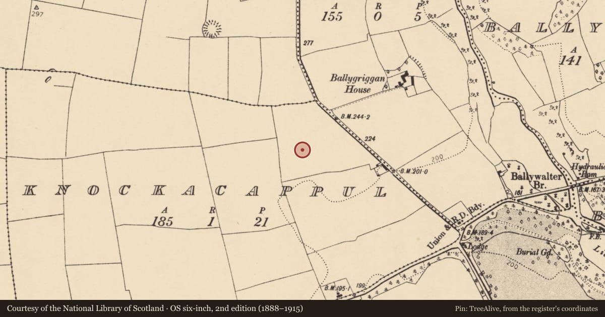Ordnance Survey six-inch map, 2nd edition (1888–1915) covering the location of Enclosure, Knockacappul, County Cork, with a pin at the register's coordinates
