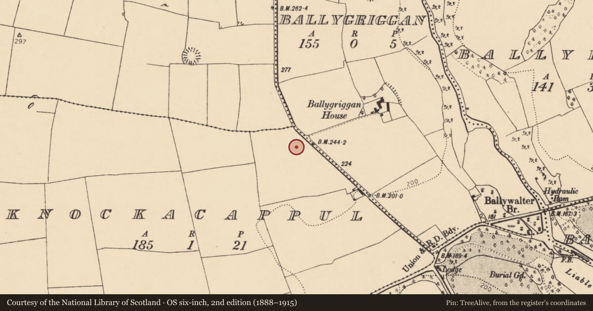 Ordnance Survey six-inch map, 2nd edition (1888–1915) covering the location of Enclosure, Knockacappul, County Cork, with a pin at the register's coordinates