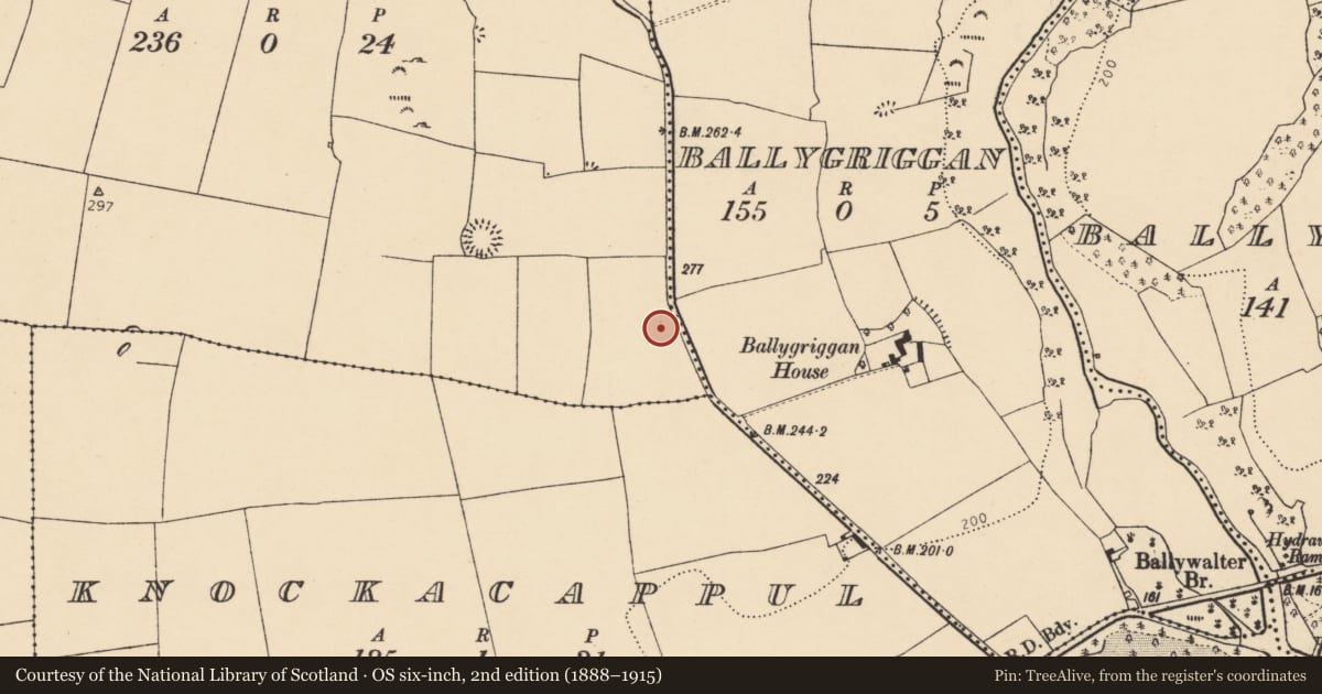 Ordnance Survey six-inch map, 2nd edition (1888–1915) covering the location of Enclosure, Doonawanly, County Cork, with a pin at the register's coordinates