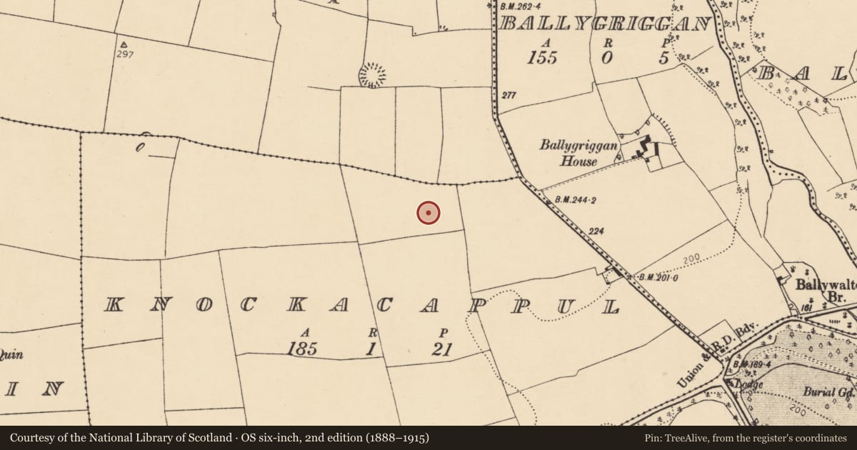 Ordnance Survey six-inch map, 2nd edition (1888–1915) covering the location of Enclosure, Knockacappul, County Cork, with a pin at the register's coordinates