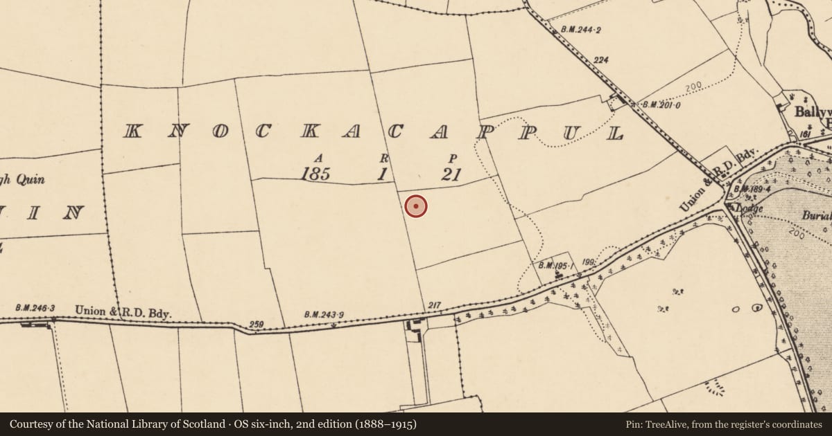Ordnance Survey six-inch map, 2nd edition (1888–1915) covering the location of Ringfort - rath, Knockacappul, County Cork, with a pin at the register's coordinates