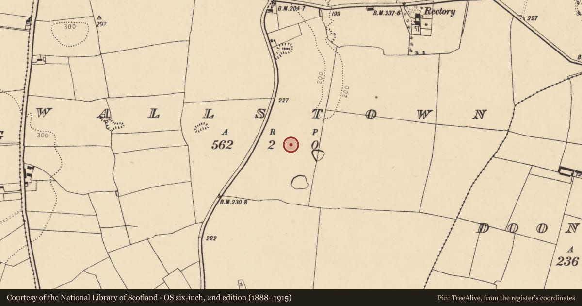 Ordnance Survey six-inch map, 2nd edition (1888–1915) covering the location of Enclosure, Wallstown, County Cork, with a pin at the register's coordinates